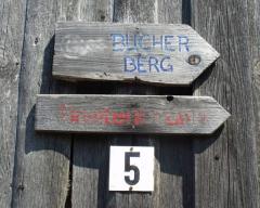 zum Bucher Berg